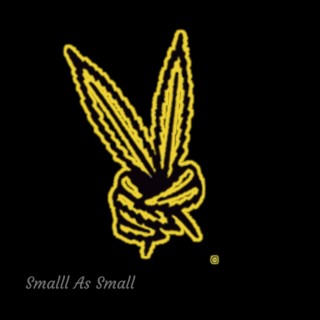 Smalll As Small