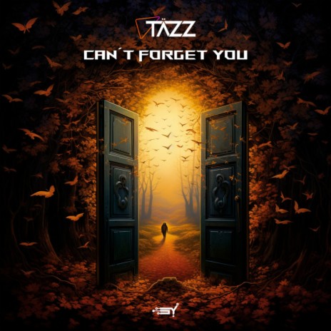 Can't Forget You | Boomplay Music
