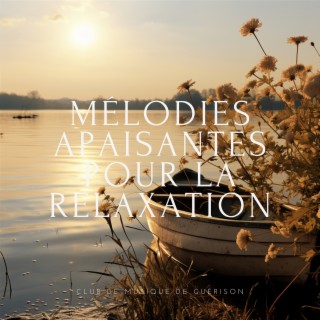 Mélodies apaisantes pour la relaxation: Musique pour spa, Étude, sommeil et bien-être