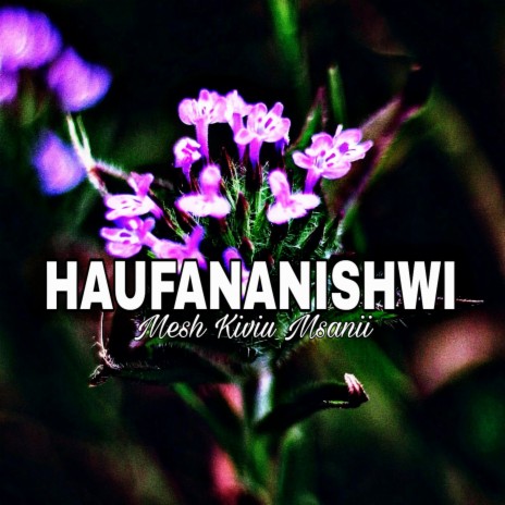 HAUFANANISHWI | Boomplay Music