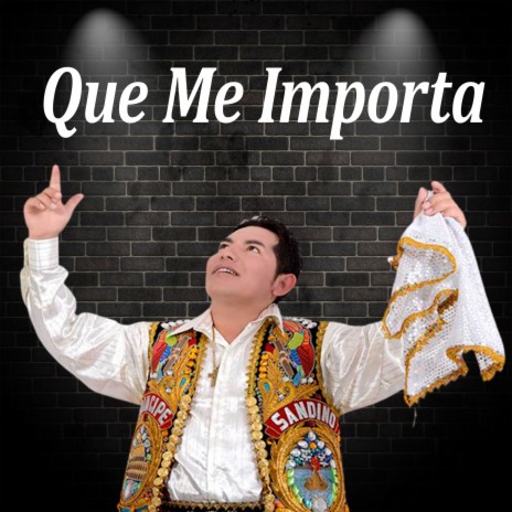 Que Me Importa / Diccionario Idiota Cervecita (Mosaico) | Boomplay Music