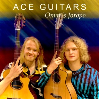 Ace Guitars