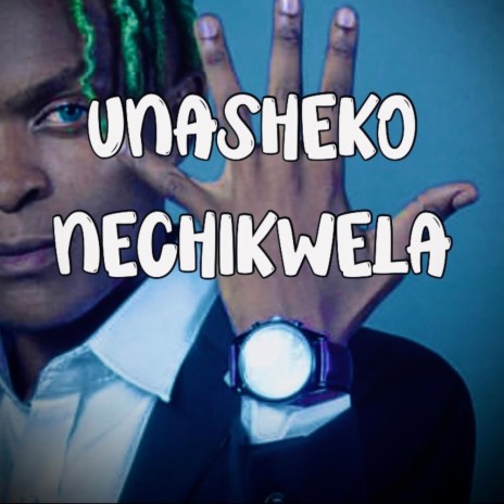 Unasheko Nechikwela