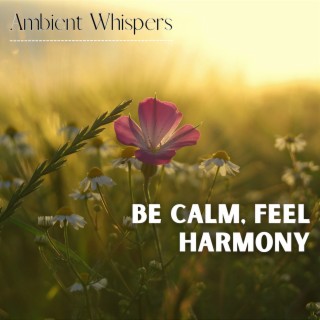 Be Calm, Feel Harmony