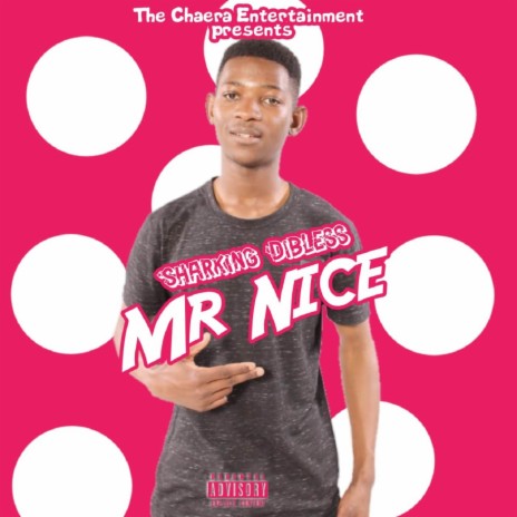 Mr Nice | Boomplay Music