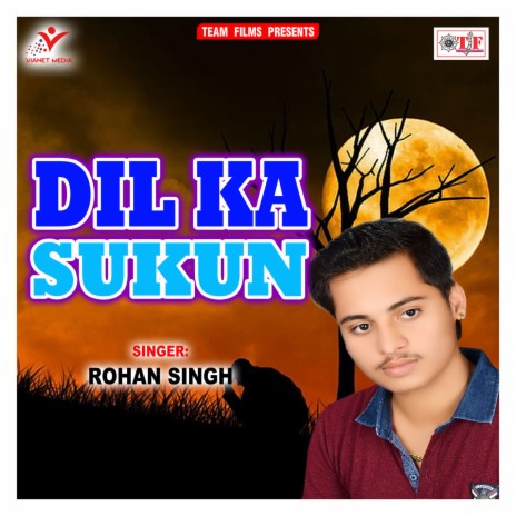 Dil Ka Sukun | Boomplay Music