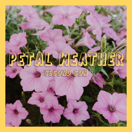 Petal Weather | Boomplay Music