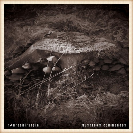 mushroom commandos | Boomplay Music