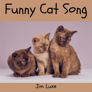 Cat sale songs funny