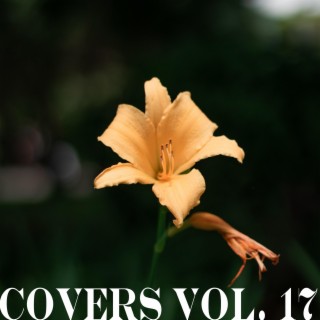 Covers Vol. 17