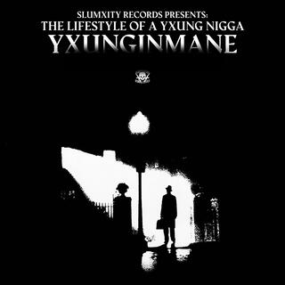 THE LIFESTYLE OF A YXUNG NIGGA