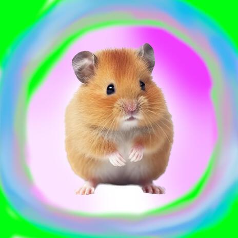 Hamsterball