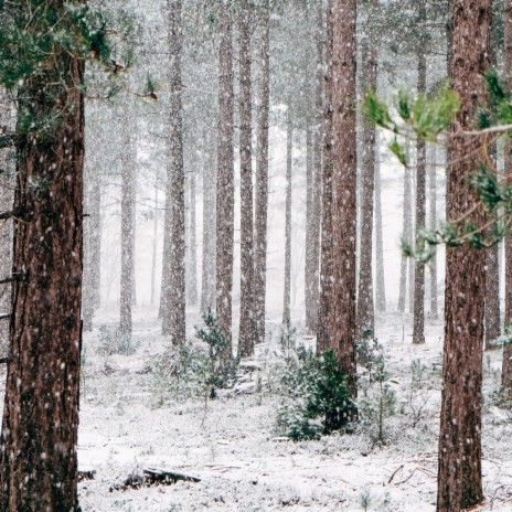 Winter Relaxation