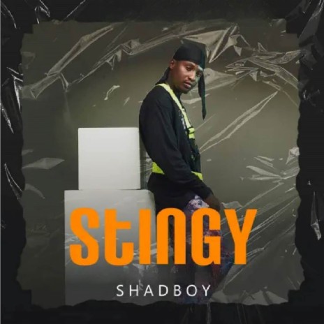 Stingy | Boomplay Music