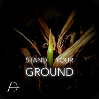 Stand Your Ground lyrics | Boomplay Music