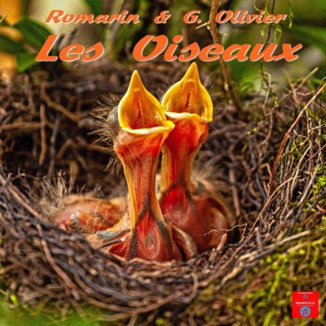 Les Oiseaux ft. Co, Dj Romarin & Georges Olivier