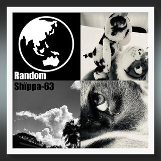 Random Canine lyrics | Boomplay Music