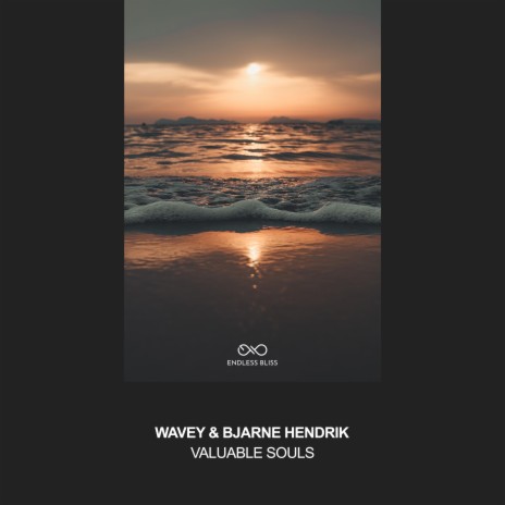 Valuable Souls ft. Bjarne Hendrik | Boomplay Music
