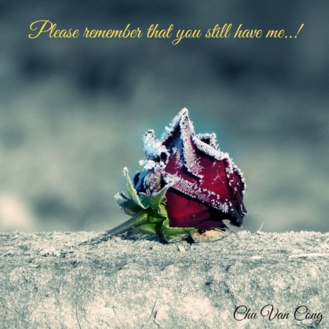 Please Remember That You Still Have Me