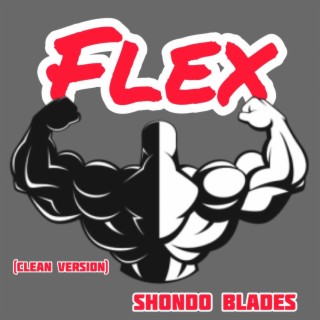 FLEX (Radio Edit)