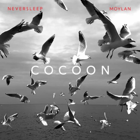 Cocoon ft. Moylan | Boomplay Music