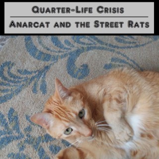 Quarter-Life Crisis