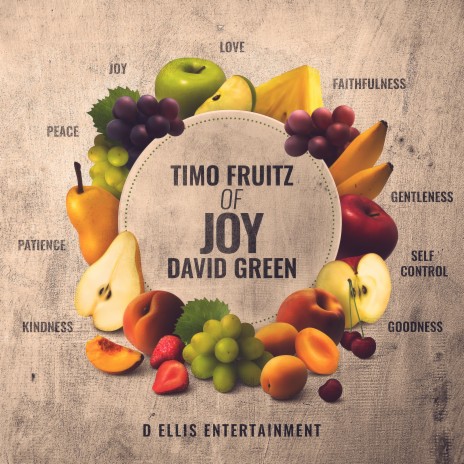 Timo Fruitz Of Joy | Boomplay Music