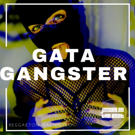 Gata Gangster Reggaeton perreo 34 | Boomplay Music