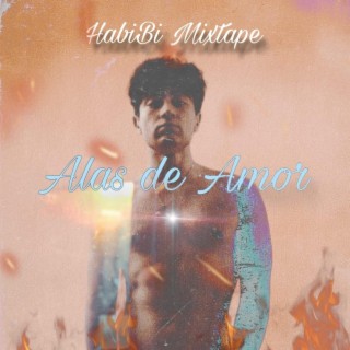 Alas de Amor (Mixtape Reloaded)