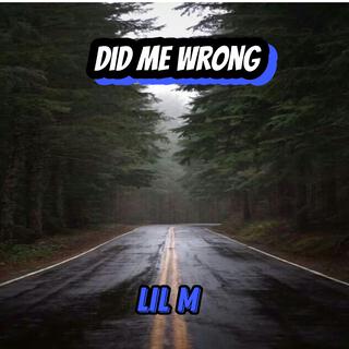 Did Me Wrong lyrics | Boomplay Music