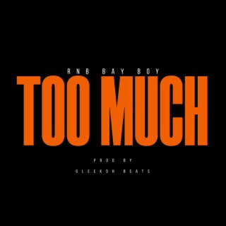 Too Much lyrics | Boomplay Music