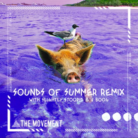 Sounds of Summer (Remix) ft. Slightly Stoopid & J Boog
