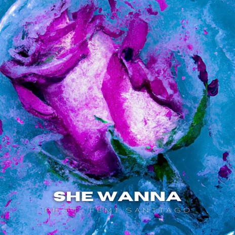 She Wanna ft. Femi Santiago | Boomplay Music