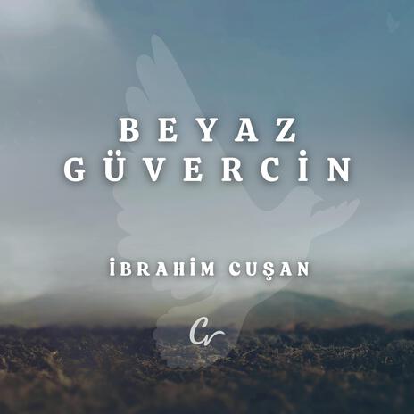 Beyaz Güvercin