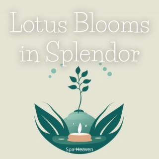 Lotus Blooms in Splendor