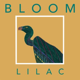 Flow lyrics | Boomplay Music