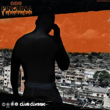 Pinguina | Boomplay Music