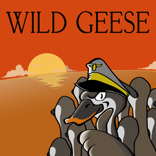 Wild Geese