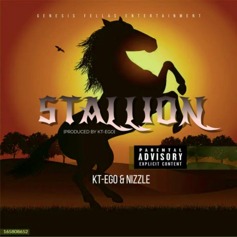 Stallion ft. Nizzle | Boomplay Music