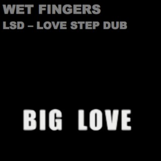 LSD (Love Step Dub)