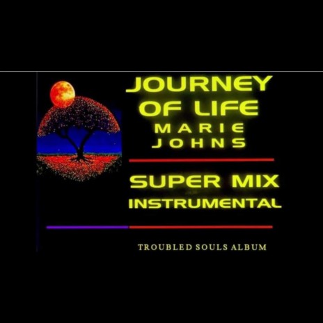 JOURNEY OF LIFE (Instrumental) | Boomplay Music