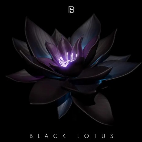 Black Lotus | Boomplay Music