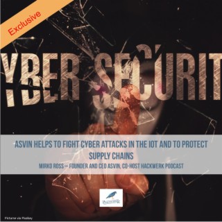 Asvin Provides Cybersecurity for the Internet of Things