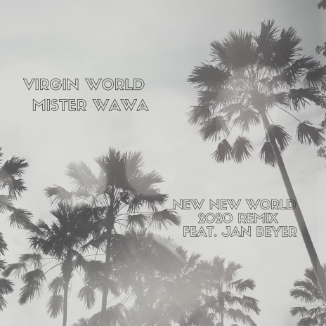 VIRGIN WORLD - NEW NEW WORLD 2020 REMIX (feat. Jan Beyer) | Boomplay Music
