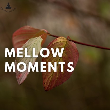 Mellow Moments (Forest) ft. Meditation And Affirmations & Bringer of Zen