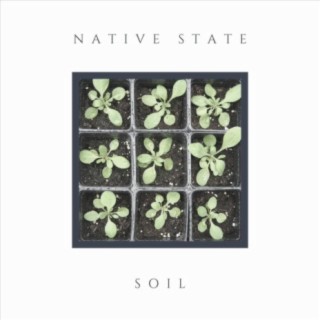 Native State