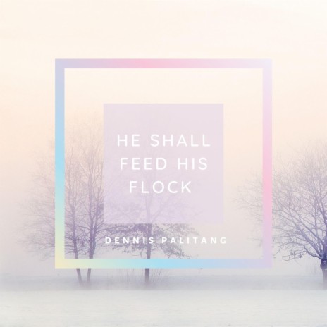 He Shall Feed His Flock | Boomplay Music