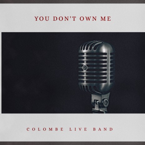 You Don't Own Me | Boomplay Music