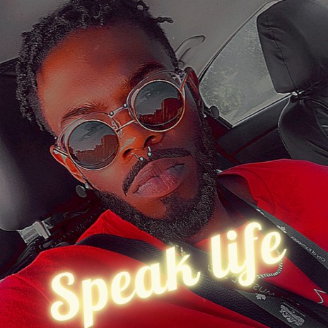 Speak Life (Dr Ndu) | Boomplay Music