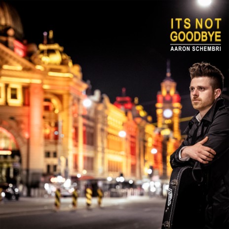 It's Not Goodbye | Boomplay Music